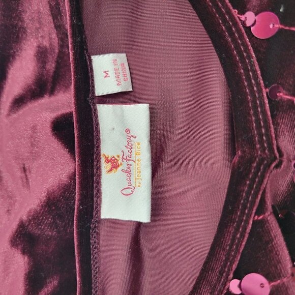 Quacker Factory Women's Paillettes V-Neck Velvet Sequins Top in Purple Size M - Picture 10 of 11